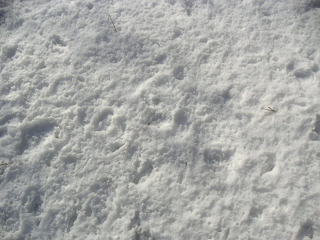 Снег текстура