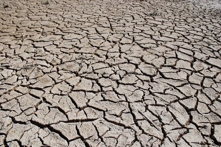 Сухая растресканная земля