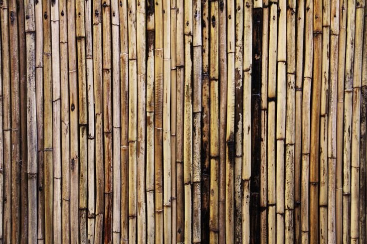 Бамбук фактура
