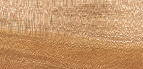 Сикамора текстура