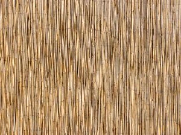 Бамбуковая стенка текстура