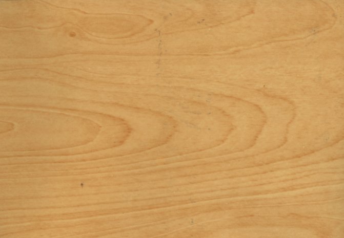 Кастамону дуб Арктический ламинат