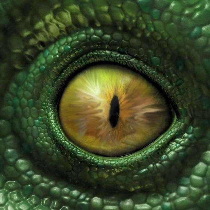Глаз ящерицы
