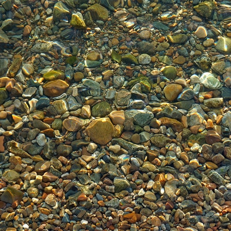 Речное дно с камнями