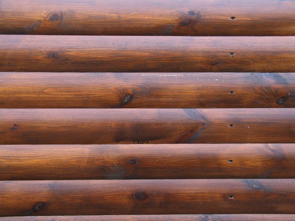 Текстура бревна