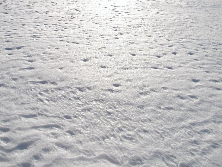 Снег текстура