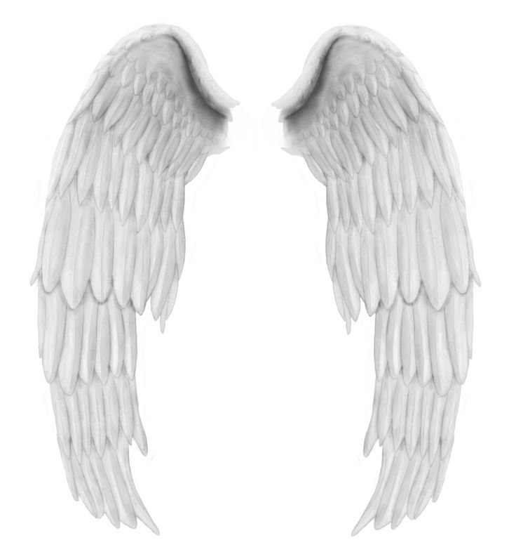 Крылья ангела на прозрачном фоне