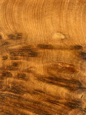 Туя древесина