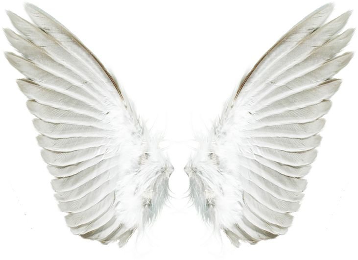 Крылья ангела для фотошопа