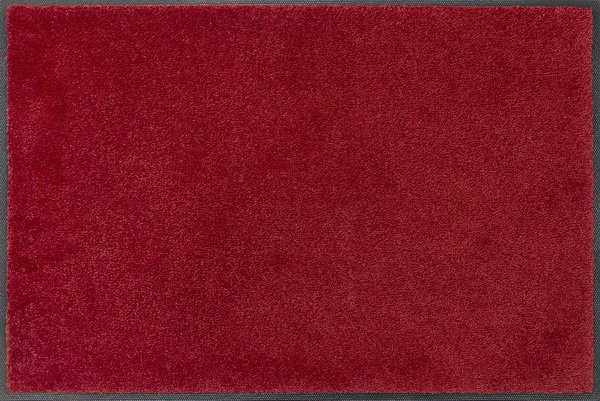 Красный ковер