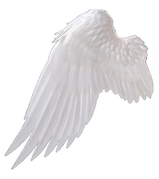 Крылья ангела сбоку