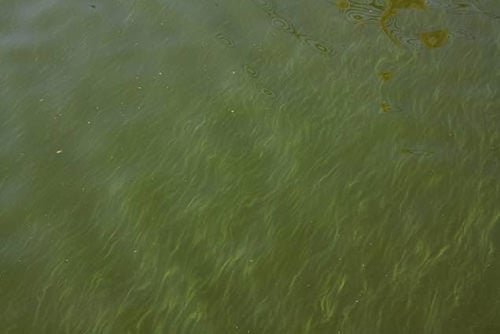 Мутная вода текстура