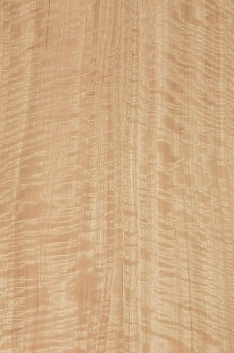 Шпон эвкалипта помеле Вудсток