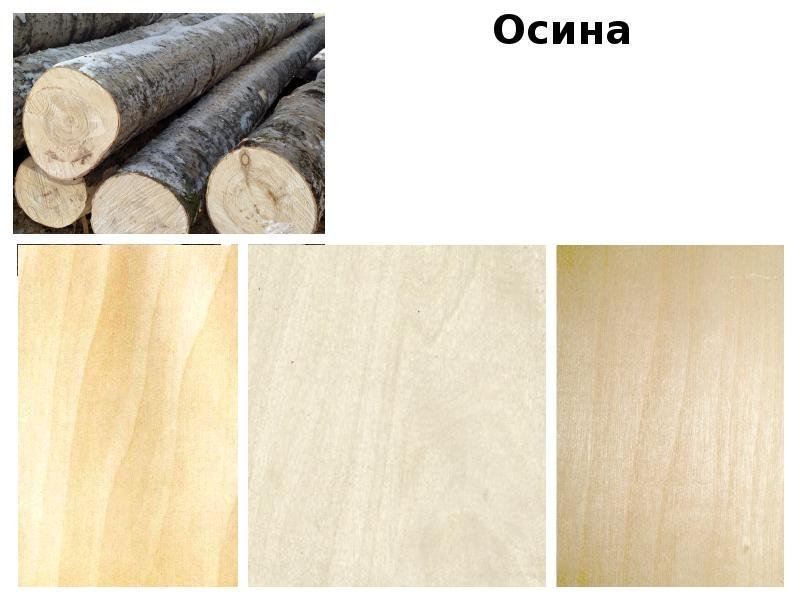 Текстуры пород дерева