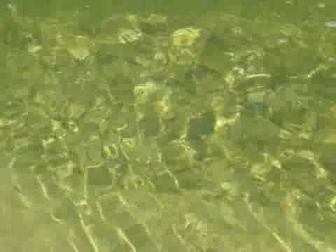 Грязная вода текстура