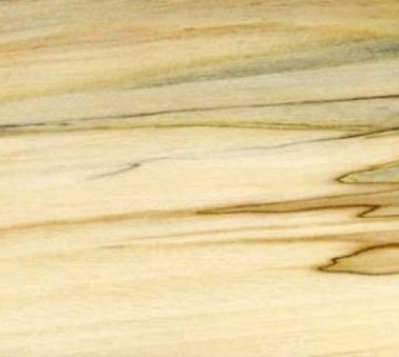 Осина текстура