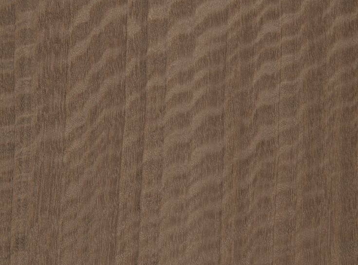 Шпон Tabu эвкалипт e5.s.005