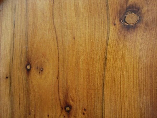 Можжевельник текстура