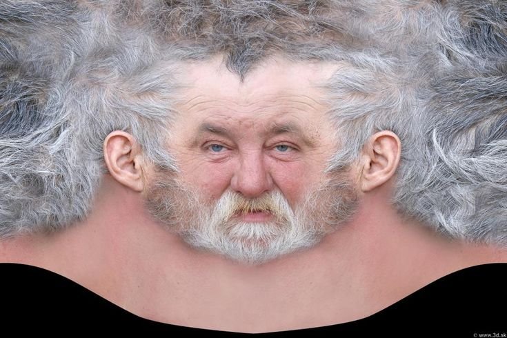 Седая голова