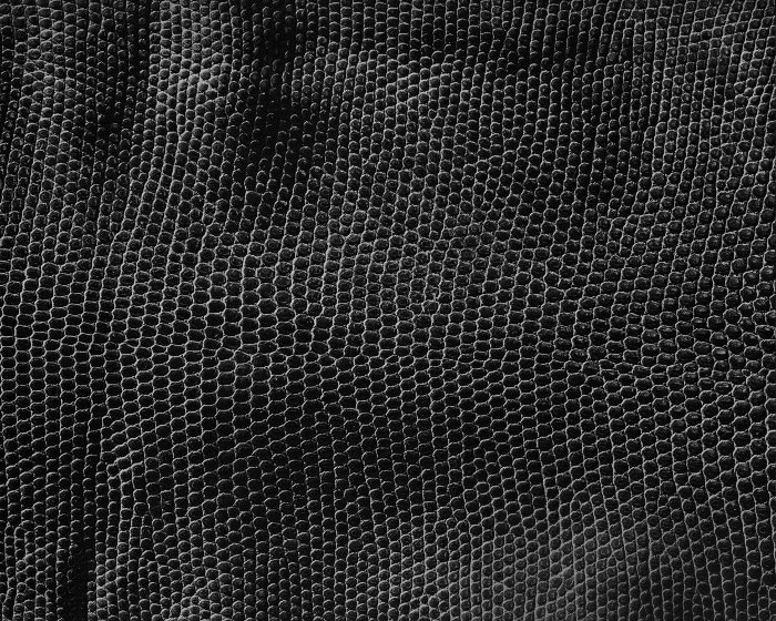 Кожа ската текстура