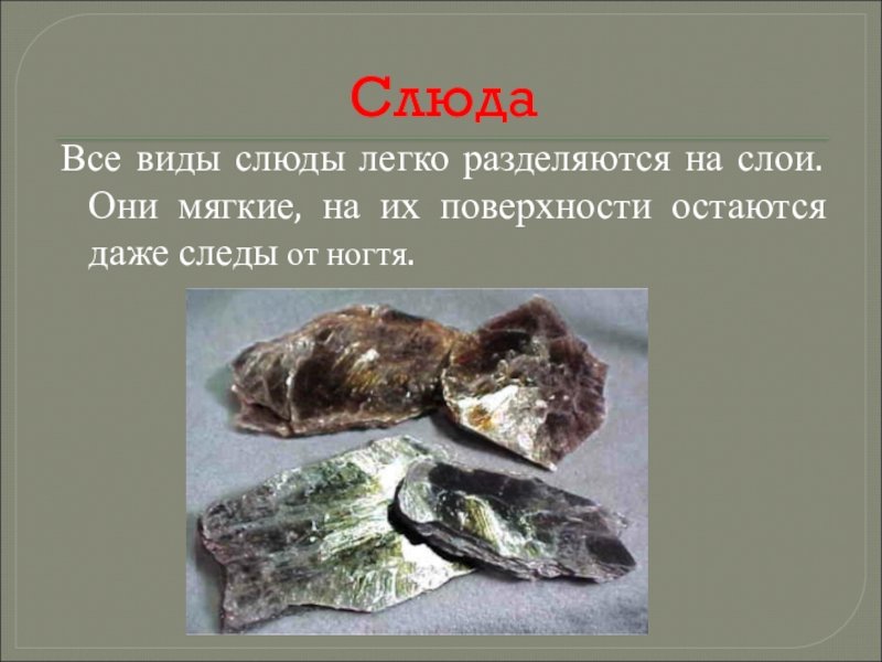 Характеристика слюды