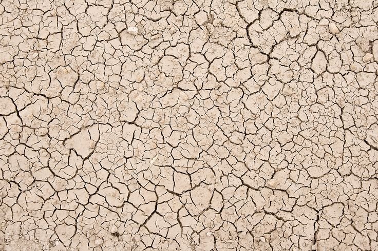 Грунт текстура