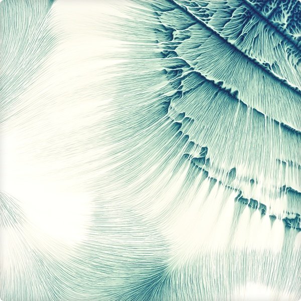 Природные текстуры