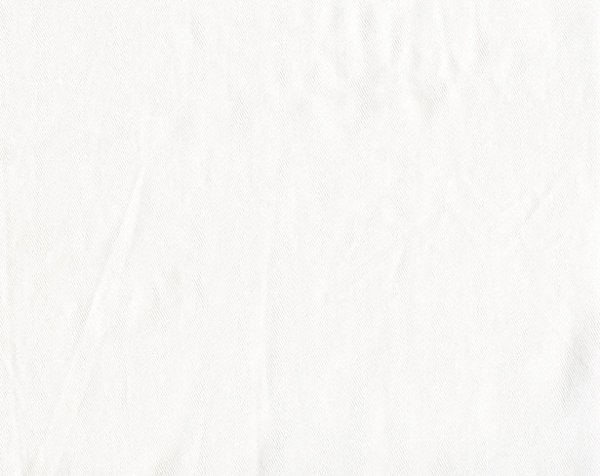 Белая лиственница u2149