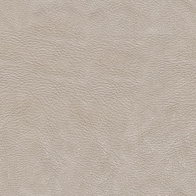 Бежевая кожа