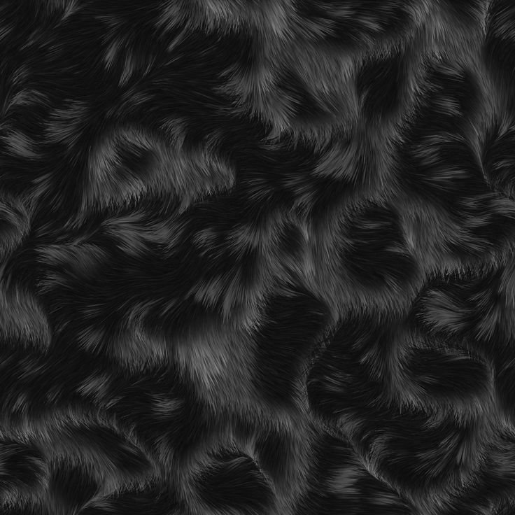 темной шерсти