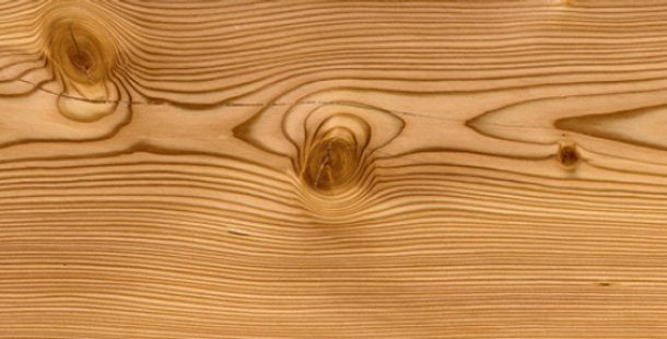 Лиственница продольный срез