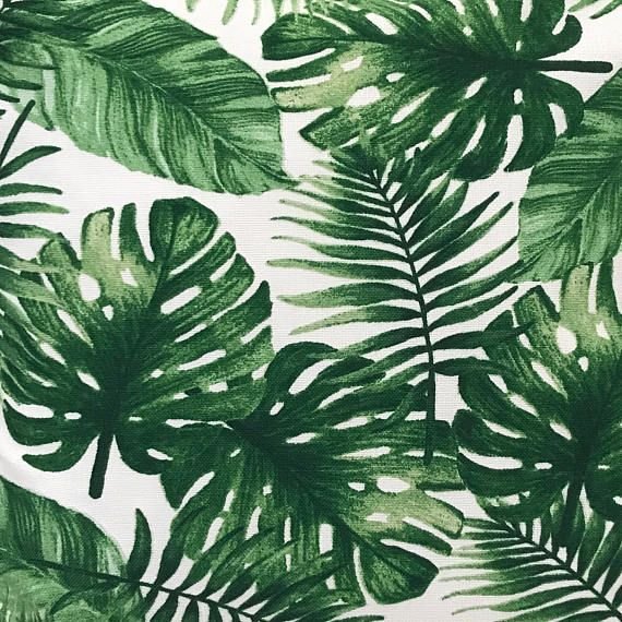 Листья пальмы Аффреско