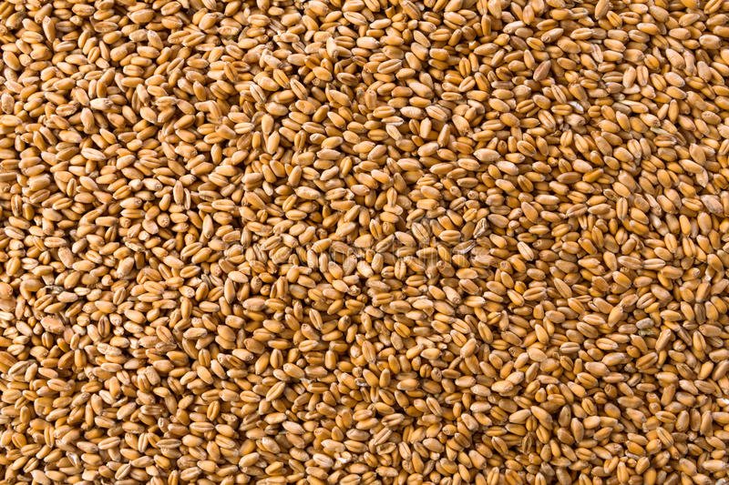 Текстура зерно