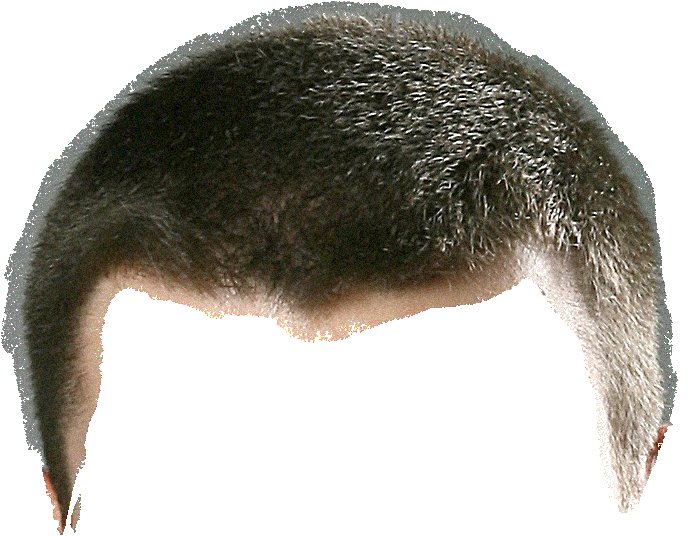 Мужской парик для фотошопа