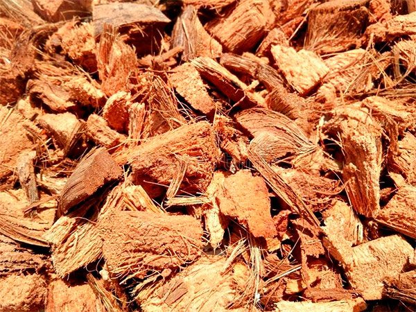 Кокосовая шелуха