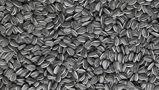 Семечки подсолнуха