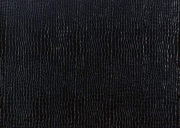 Черная кожа