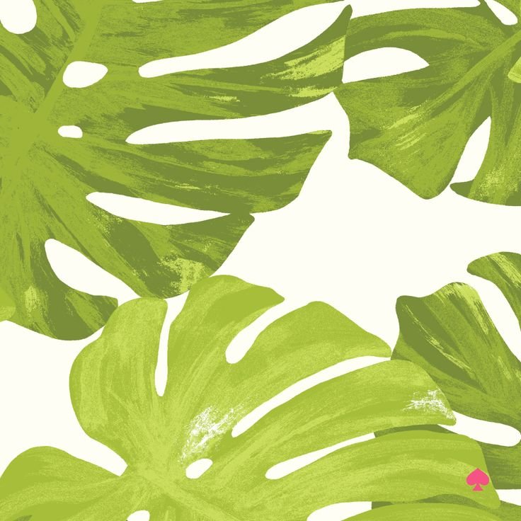 Тропические листья