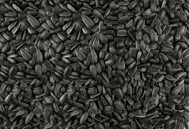 Семечки текстура