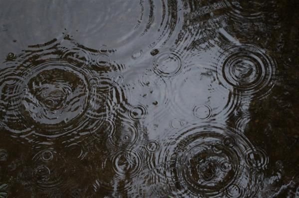 Лужа вид сверху