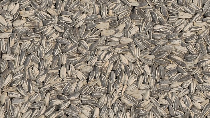 Текстура зерно