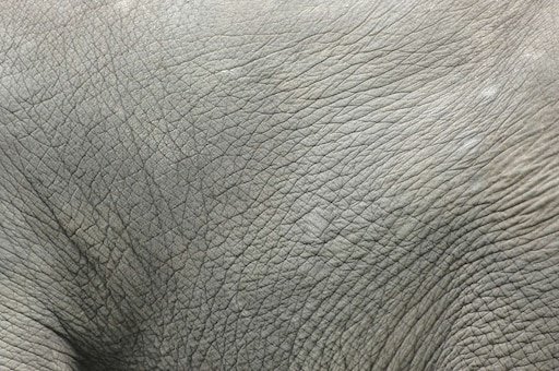 Текстура кожи