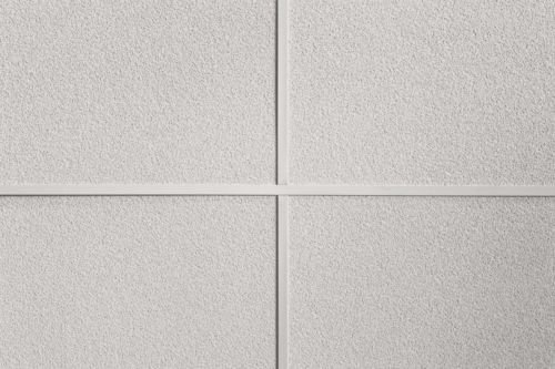 Армстронг Тегулар