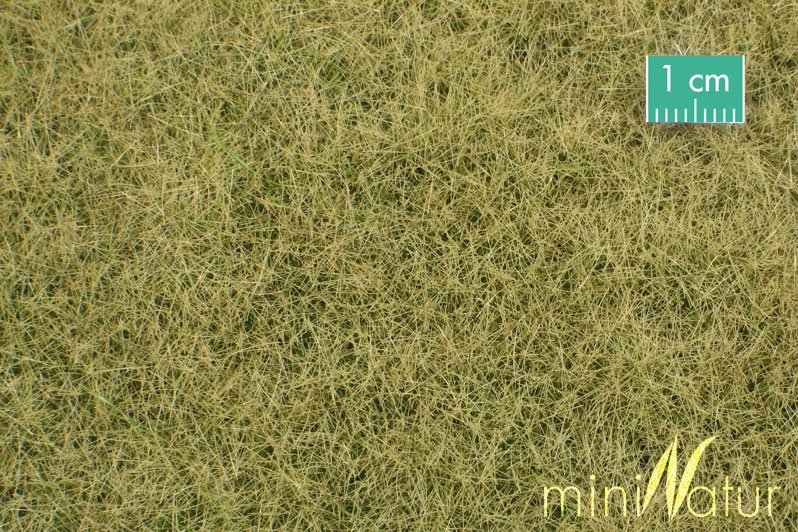 Текстура травы