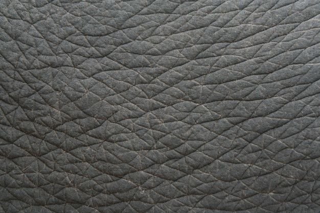 Кожа слона текстура