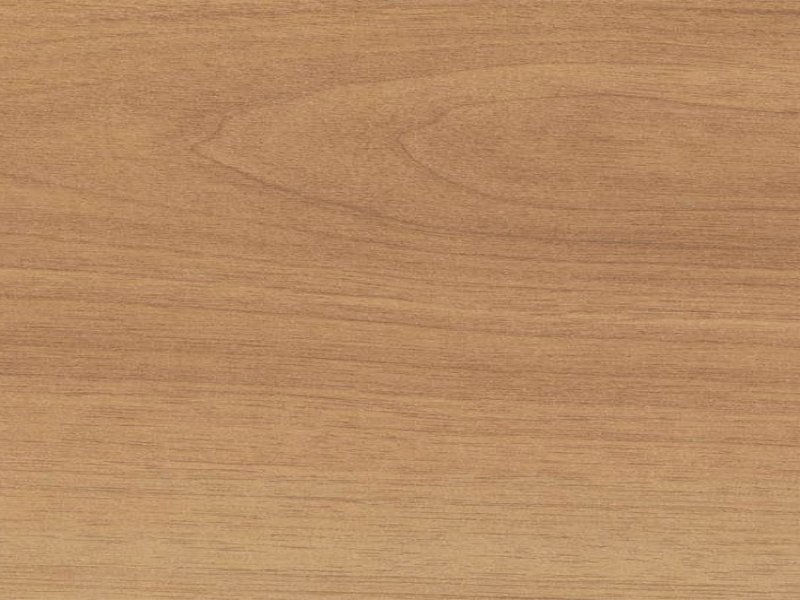 Орех Миланский u9506