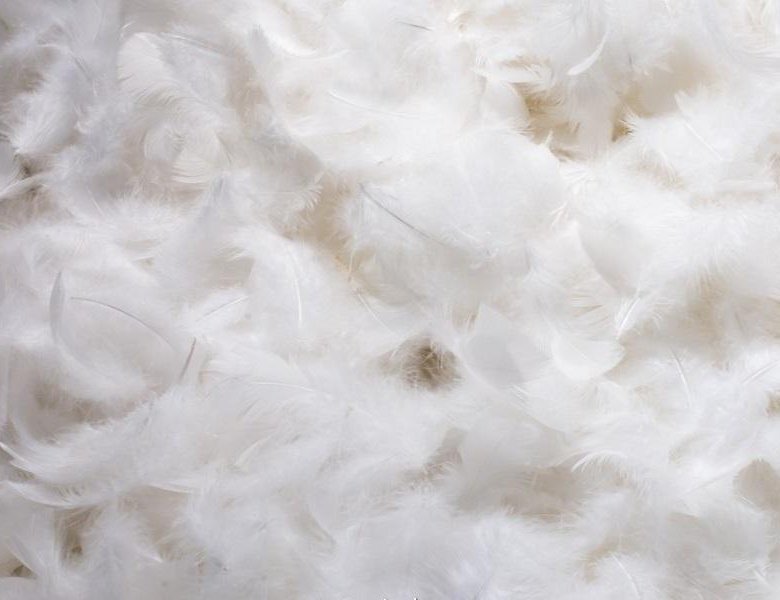 Наполнитель гагачий пух