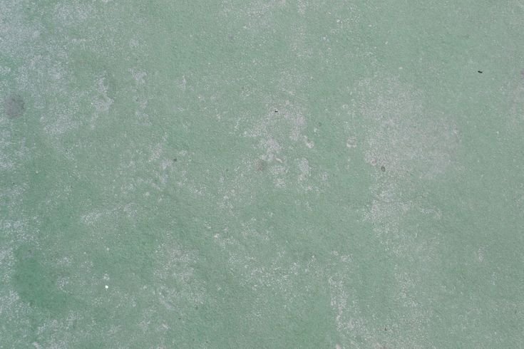 Зеленая штукатурка текстура