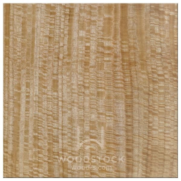 Вудсток эвкалипт шпон