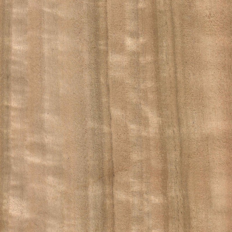 Эвкалипт мореный Вудсток шпон